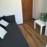 Rent a room in Lodz