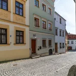 Rent 1 bedroom house of 360 m² in Olomouc