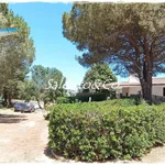 Rent 4 bedroom house of 76 m² in Ostuni