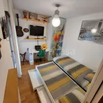 Rent 3 bedroom apartment of 120 m² in Venice