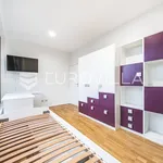 Rent 2 bedroom apartment of 101 m² in Zagreb