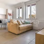 Rent 2 bedroom apartment of 45 m² in Padova