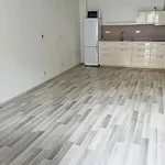 Rent 1 bedroom apartment in Brno