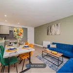 Rent 3 bedroom apartment in Brighton