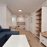 Apartamento de 1 dormitorio en la Calle Pintor Pedro Flores