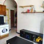 Rent 2 bedroom apartment of 43 m² in Milan