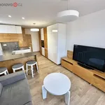 Pronájem luxusního bytu 1+kk, ulice Bezručova, Blansko, centrum, CP 29 m2 - Blansko