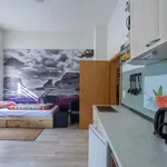 Miete 1 Schlafzimmer wohnung von 35 m² in Dresden