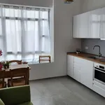 Rent 1 bedroom apartment in milan