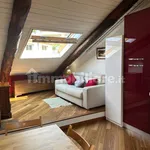 Rent 1 bedroom apartment of 30 m² in Turin