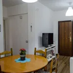 Rent 2 bedroom apartment of 85 m² in rome