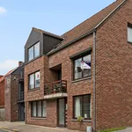 volledig bemeubelde studio in mol