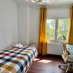 Alquilar 5 dormitorio casa en Barcelona