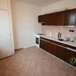 Rent 1 bedroom apartment in Hradec Králové