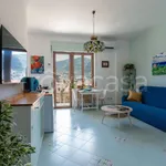 Rent 2 bedroom apartment of 60 m² in Sorrento