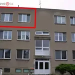 Rent 4 bedroom apartment of 78 m² in Ježkovice