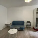 Rent 1 bedroom apartment of 398 m² in Paris