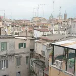 Rent 1 bedroom apartment in Rome