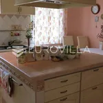 Rent 8 bedroom house of 600 m² in Zagreb