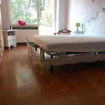 Rent 3 bedroom apartment of 80 m² in Turin