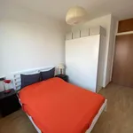 Rent 2 bedroom apartment of 55 m² in Milano