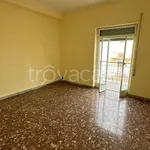 Rent 3 bedroom apartment of 65 m² in Cisterna di Latina