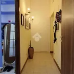 Rent 3 bedroom apartment of 72 m² in Roma