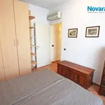 Rent 2 bedroom apartment of 50 m² in Novara