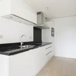 Rent 2 bedroom apartment of 95 m² in Utrecht