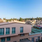 Rent 1 bedroom apartment in Florence