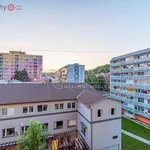 Rent 2 bedroom apartment of 42 m² in Mělník