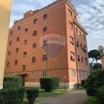 Rent 2 bedroom apartment of 56 m² in Roma