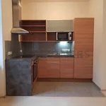 Pronajměte si 1 ložnic/e byt o rozloze 47 m² v Pilsen