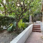 Rent 2 bedroom apartment of 58 m² in Naples