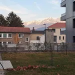 Rent 2 bedroom apartment of 45 m² in GRENOBLE