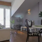 Rent 4 bedroom apartment of 1 m² in madrid