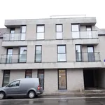 Rent 2 bedroom apartment of 80 m² in Comines-Warneton