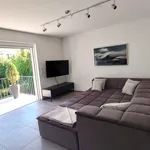 Rent 2 bedroom apartment of 60 m² in Nürnberg