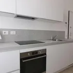 Rent 1 bedroom apartment in Milan