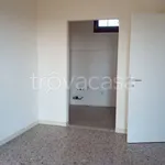 Rent 3 bedroom apartment of 70 m² in Alessandria