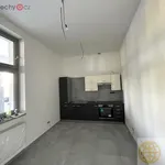 Rent 1 bedroom apartment of 23 m² in Tábor