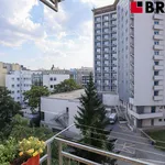 Pronajměte si 2 ložnic/e byt o rozloze 35 m² v Brno