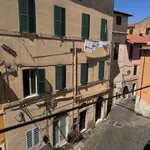 Rent 1 bedroom apartment of 35 m² in Roma