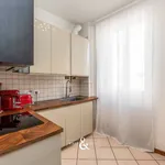 Rent 3 bedroom apartment of 110 m² in Monza