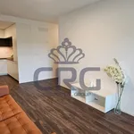 Rent 2 bedroom apartment in Brno