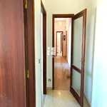 Rent 4 bedroom apartment of 120 m² in Roma