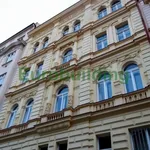 Rent 3 bedroom apartment of 137 m² in Prague