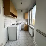 Rent 1 bedroom apartment of 20 m² in Krakow