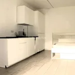 Rent 1 bedroom apartment of 40 m² in Parabiago