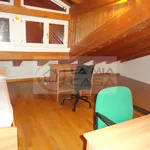 Rent 3 bedroom apartment of 110 m² in legnaro